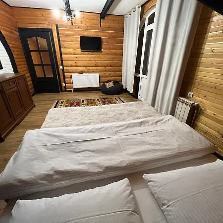 Solomia Konukevi Mykulychyn