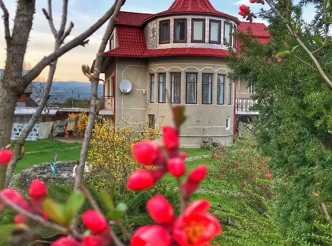 Solomia Pensionat Mykulytjyn