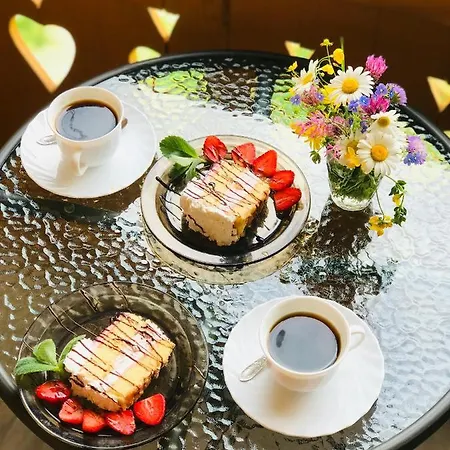 Solomia ميكوليتشن